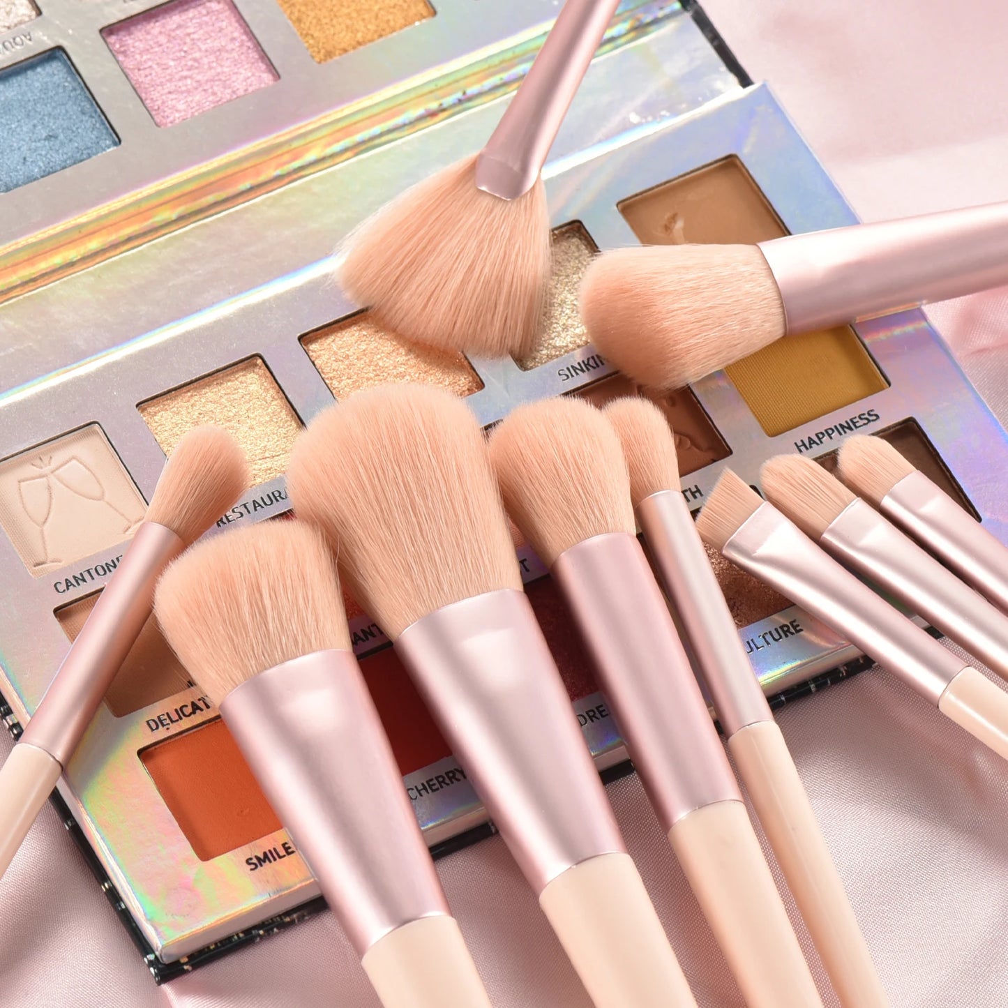 Premium Makeup Brushes Set