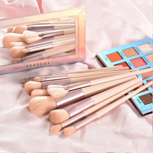 Premium Makeup Brushes Set